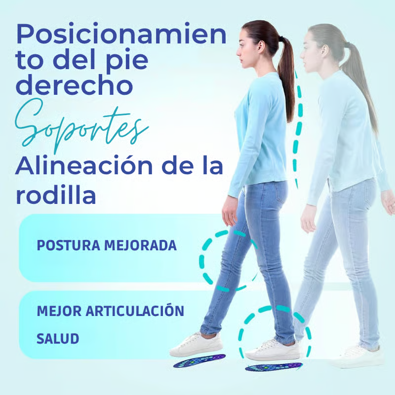 Plantillas de Soporte para Arcos™